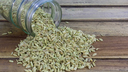Fennel Seed Benefits - Image of Fennel Seeds for blog post