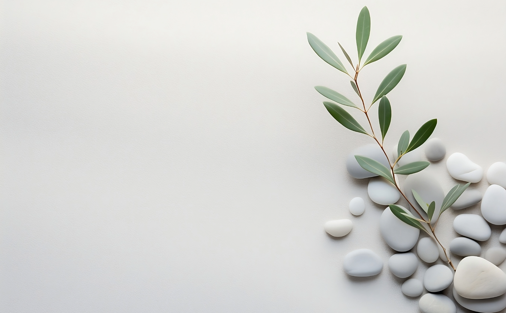 A branch and stones in a relaxing environment - image for holistic wellness rituals